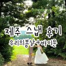 봄날오다 | 제주웨딩스냅 바이문웨딩 헤메드/웨딩촬영 후기 좋았던점 아쉬운점