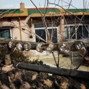 월평1길 이미지