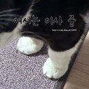 법의학자가 밝혀낸 소현세자의 진짜 사인?! 이미지