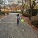 어린이 유아보약 소건중탕 원방을 따른 키디 구매