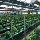 허브 당구장 이미지