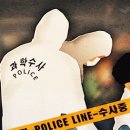 로또렌트카 이미지