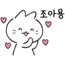 미디어밸리 이미지