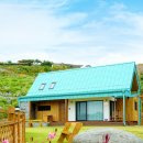 민트하우스 이미지