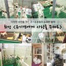 꽃길프로젝트 이미지