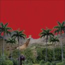 뮤직랜드 이미지