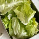 정진농장 | 유럽상추 쌈채소 추천 샐러드로 먹기 좋은 정진농장 유럽상추 후기