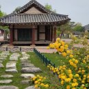 임천 가림수 티스토리