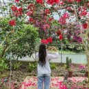 하나오토서귀포 이미지