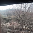 자미매운탕 이미지