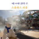 연세 키즈풀 | 겨울 아기랑 갈만한곳 스플라스 리솜 워터파크 키즈 온천 조식 플렉스타워 s30 후기