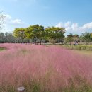 을숙도 철새공원 이미지