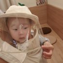 분당-227 이미지