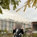 응봉개나리어린이공원 이미지