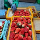 은형농장 이미지