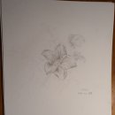 세밀화 그리기 이미지