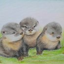 [주말] 색연필화 이미지