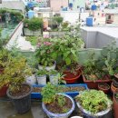 옥상카페 이미지