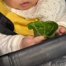 (주)다날 | 일 블로그 쓰기 싫어서 쓰는 일상 블로그