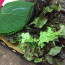 족발마루 이미지