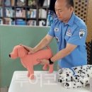 AED관리와 심폐소생술 응급처치 교육 이미지