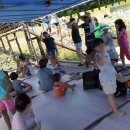 바다햇살 이미지