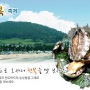 노화읍-1 이미지