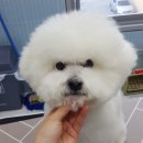 멍라이프 이미지