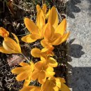 오늘은봄날 이미지