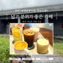 더리트리브 | 제주 서귀포 대형카페 추천｜애견동반 가능한 감성카페 더리트리브 후기