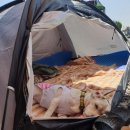 학암포퍼스트캠핑장 이미지