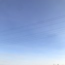 (주)나르샤팜