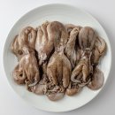 해남뻘낙지 이미지