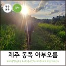 송당리마을제 이미지