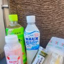 돗토리김밥 | 일본 돗토리 코난 마을 여행｜코난 박물관 성지순례 후기