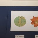 삼척 영은사 석가삼존도와 복장유물 이미지