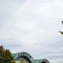 한밭대로 | 살아있는 새우 포장 후기 대전 노은수산물시장 새우 맛집 염창수산