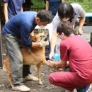 초원동물병원 이미지