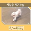 남창미르동물병원 이미지