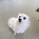 포승산단로13번길 이미지