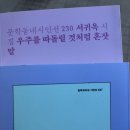 린시아 | 살아 있는 감각이 시간 속도를 따라잡지 못한다