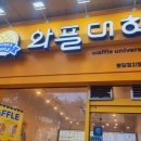 와플대학분당정자캠퍼스 이미지