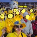햇사레고고장구 | 2026 단양 소백산 철쭉제 박서진 공연 후기｜현장 분위기와 감동 무대