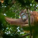 gc-camera-049 이미지