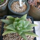 동운슈퍼 이미지