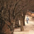 미당(未堂) 서정주의 고향, 고창 질마재를 가다...