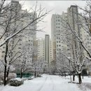 광산구-099 이미지