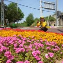 시낭운동장 이미지