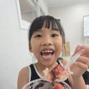 코리아 탑 태권도장 이미지