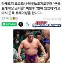 타케루후지에게ㅡ요코즈나 조언하다!하반신을 단련하라고! 이미지